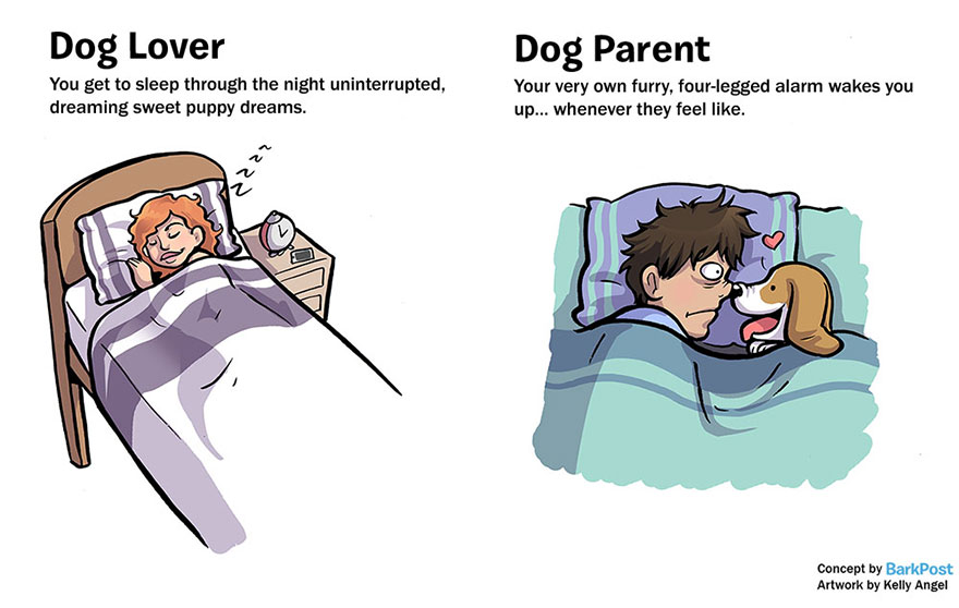 dog-lover-vs-parent-illustration-kelly-angel-3__880