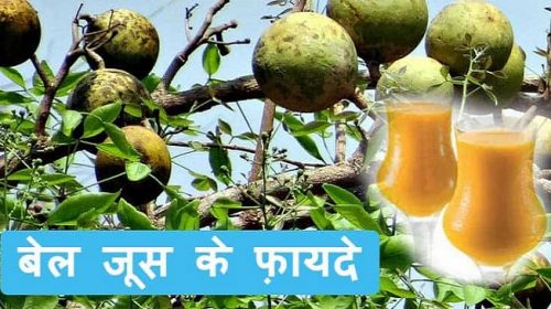 गर्मी मौसम